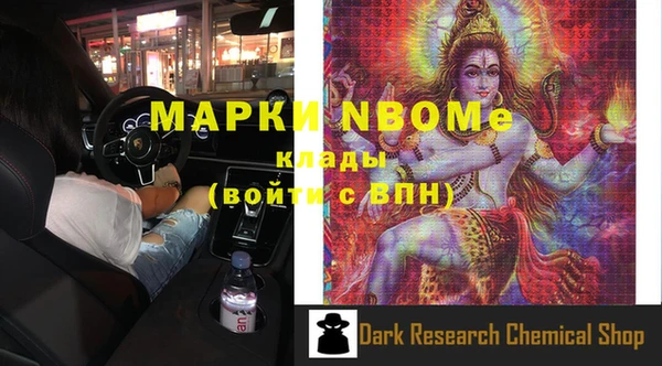 ПСИЛОЦИБИНОВЫЕ ГРИБЫ Вяземский