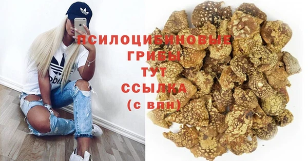 ПСИЛОЦИБИНОВЫЕ ГРИБЫ Вяземский