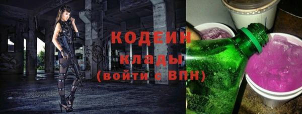 ПСИЛОЦИБИНОВЫЕ ГРИБЫ Вяземский