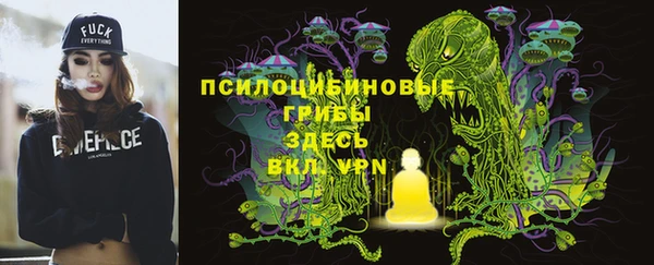 ПСИЛОЦИБИНОВЫЕ ГРИБЫ Вяземский