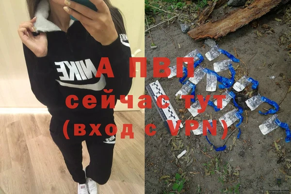 ПСИЛОЦИБИНОВЫЕ ГРИБЫ Вяземский