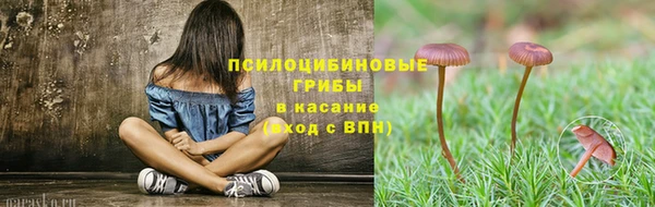 ПСИЛОЦИБИНОВЫЕ ГРИБЫ Вяземский