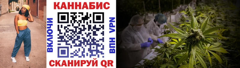 Конопля Amnesia Купить где Тутаев
